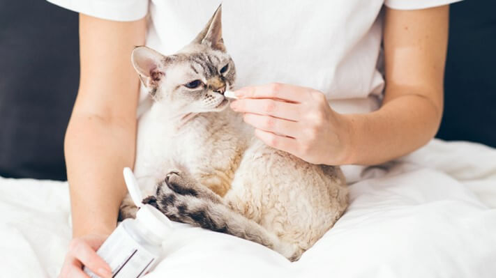 How Cat Supplements Can Boost Your Feline’s Health