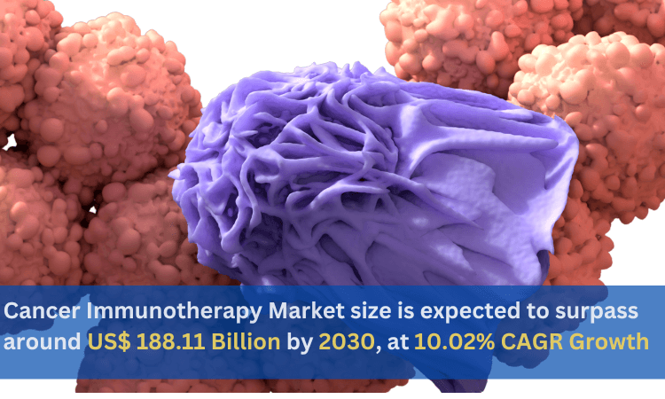 Respiratory Care Devices Market Size & Growth | Forecast Report 2030